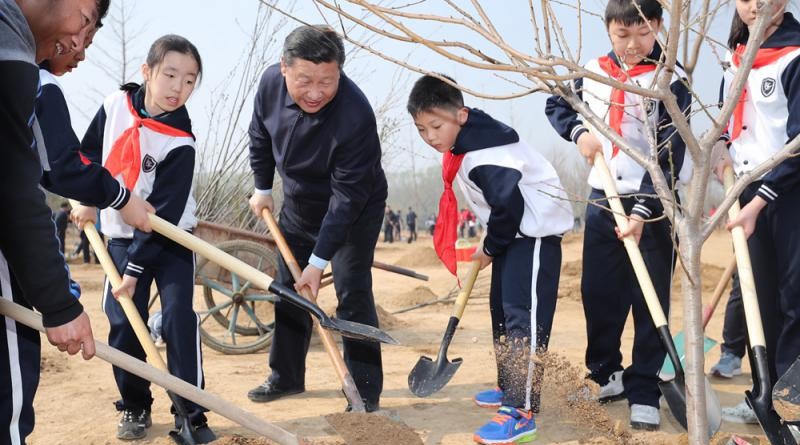 29日，習近平同小學生一起植樹 新華社