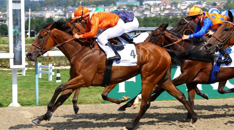 Deauville - 15/08/2017 - PRIX DU HONG-KONG JOCKEY CLUB (Q+) - TRES BELAFFAIR, Alexandre ROUSSEL